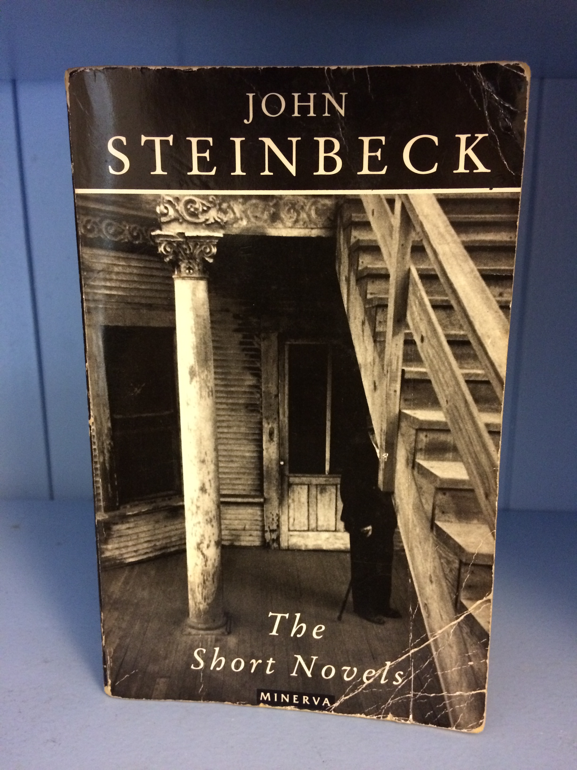 Book is stood up on a blue shelf.
The cover has Steinbeck's name at the top and the title 'The Short Novels' at the bottom. The image on the cover is a man hidden under a wooden staircase in a derelict looking area. A pillar can also be seen holding up the second level.